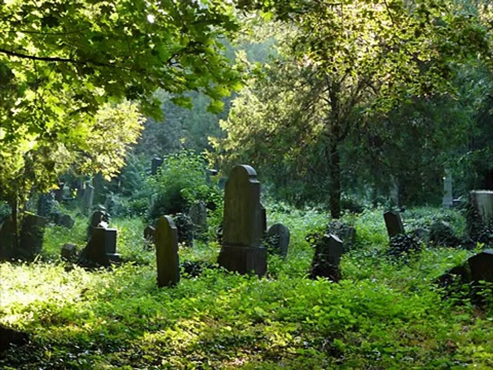 Wolfgang Ambros - Es lebe der Zentralfriedhof - LIVE