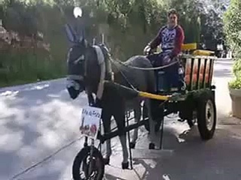 Special Gadha Gadi   Very Funny Technology