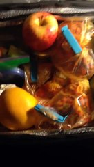 Flight-Attendant-Lunch-Kit