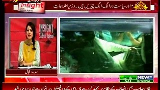 PTV News Insight With Sidra Iqbal with MQM Abdul Waseem (29 August 2015)