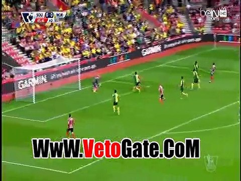 ساوثهامتون يفوز بثلاثيه نظيفه امام نوريتش سيتى