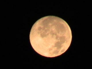 Πανσέληνος στο Δασαμάρι