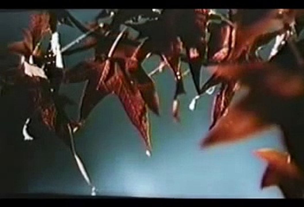 Rotting Christ - A Dead Poem