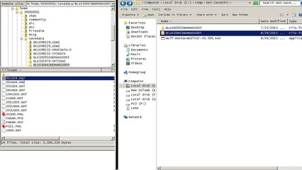 Demon's Souls - Wulf's Save Editor v.0.500