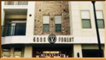5000 Forest, LLC - COLUMBIA, SC  - Apartment Rentals