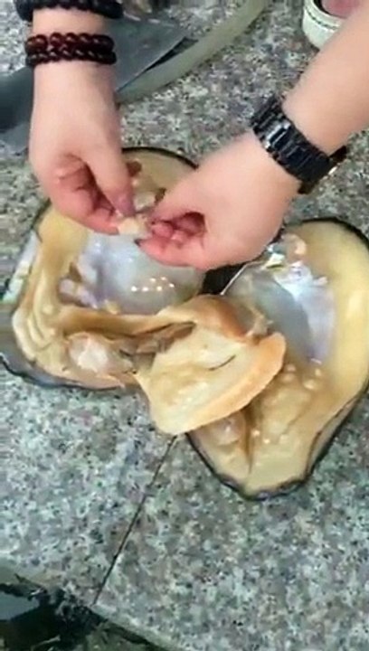 How Pearl are found...Watch amazing video of Sea Pearls