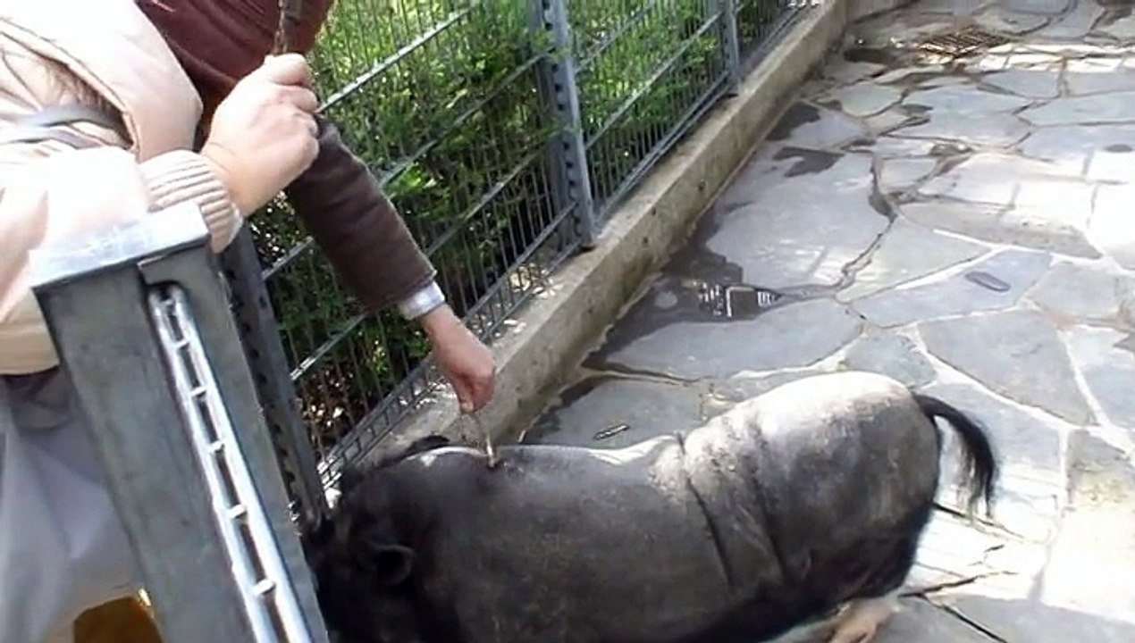 Zoo Wuppertal mit Anori im April 2012