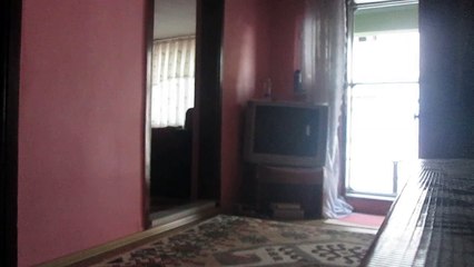 Straddle Planche Denemesi 30 Ağustos 2015