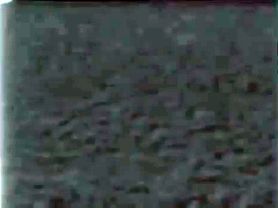 Family Home Entertainment (F.H.E.) "Paintbrush" Logo  G-Major