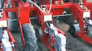 Sembradora de zanahorias Agricola Italiana SNT 2 290