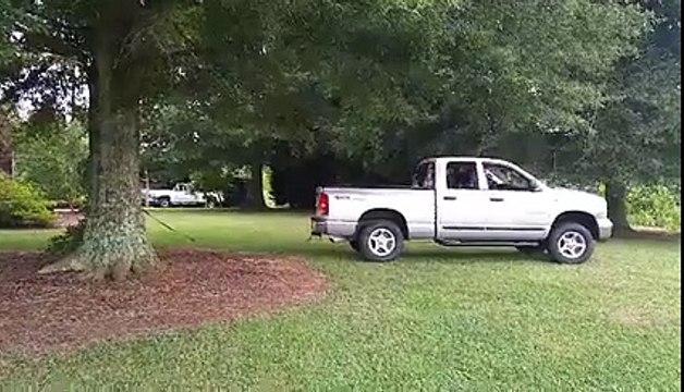 Déraciner un arbre avec un pickup dodge