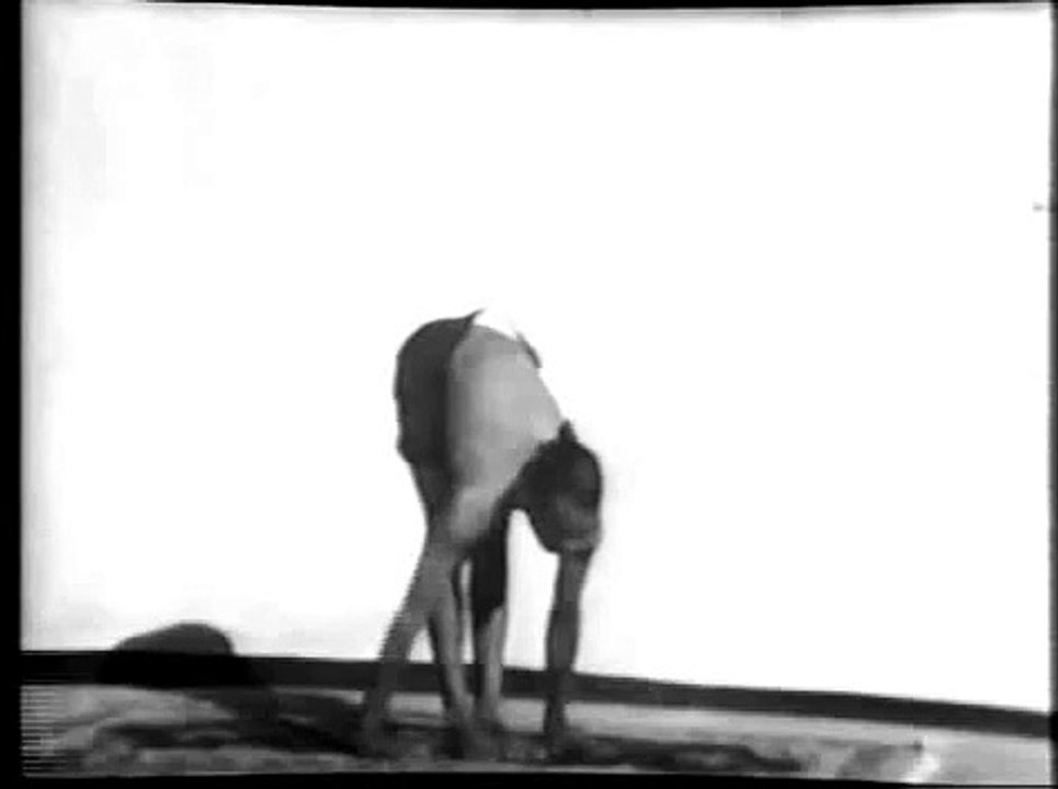 Krishnamacharya & B.K.S. Iyengar in 1938 with Yoga Sutras,  Part 4 of 6