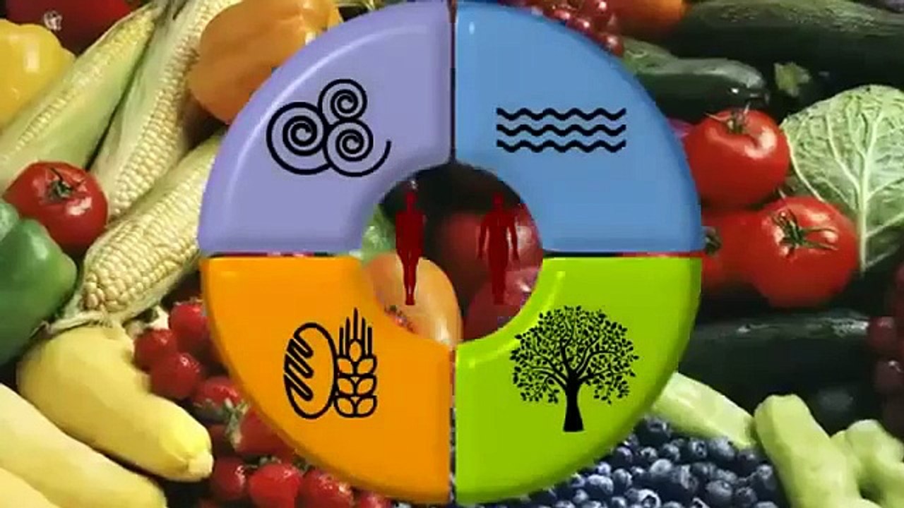 El origen del mal (Esclavitud humana)  La gran estafa de tu vida.