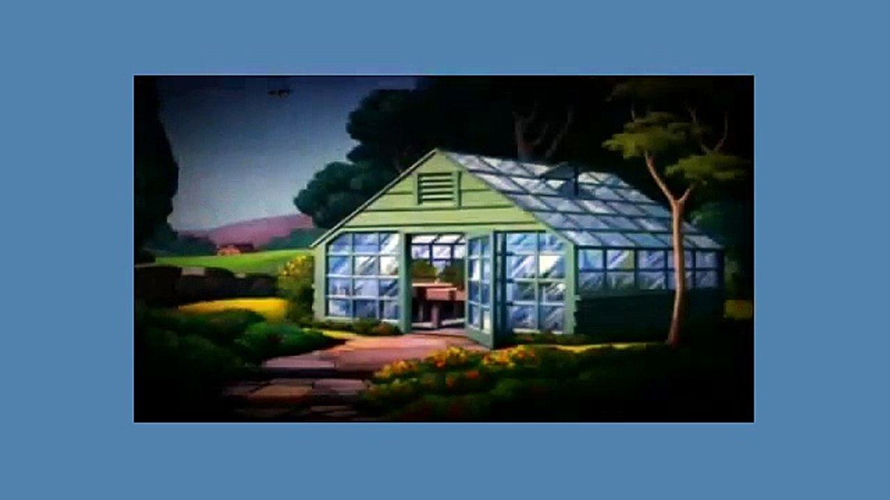 Donald Duck Cartoon - Honey Harvester