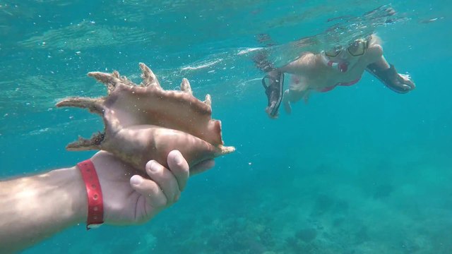 Holiday in Egypt Hurghada Red Sea underwater, Test GoPro HERO4 Video HD #5day