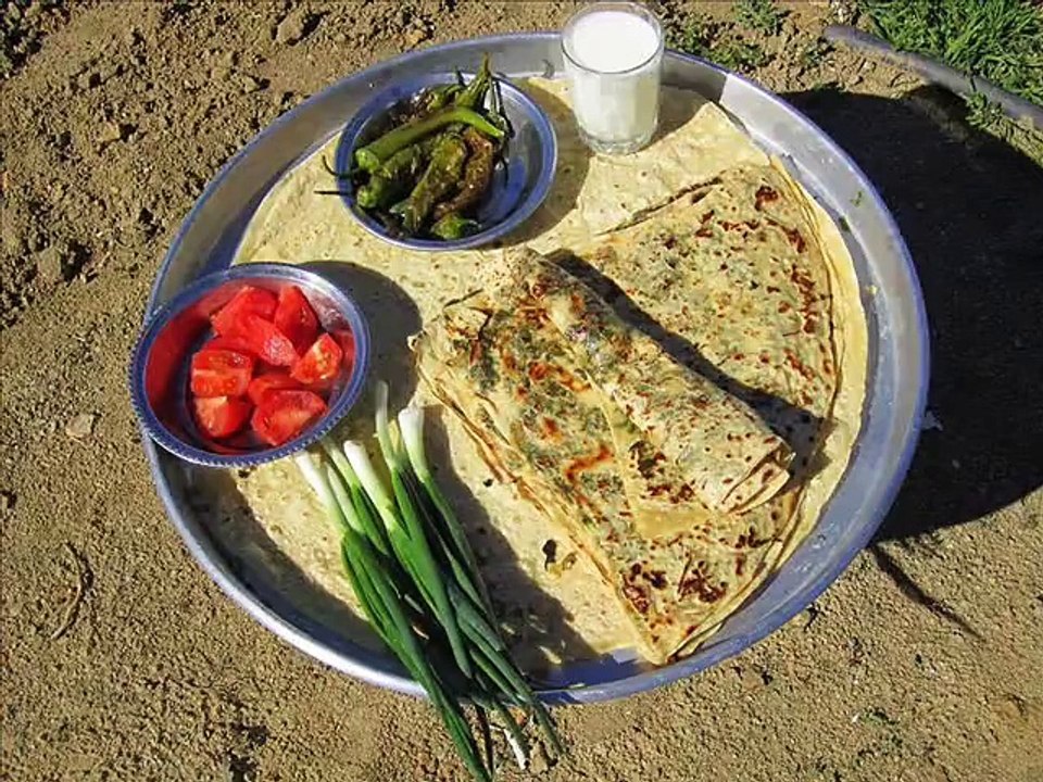 MUSTAFA ER - ATIM ARAP 2015