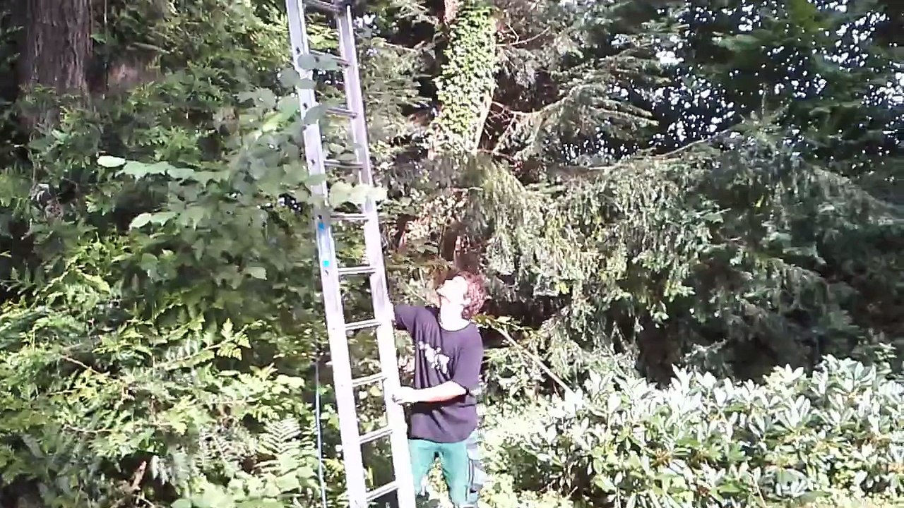 The Crazy Evers Brothers  Die Leiter