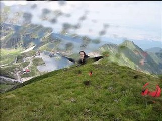 Pasarea Colibri - Vara la Tara