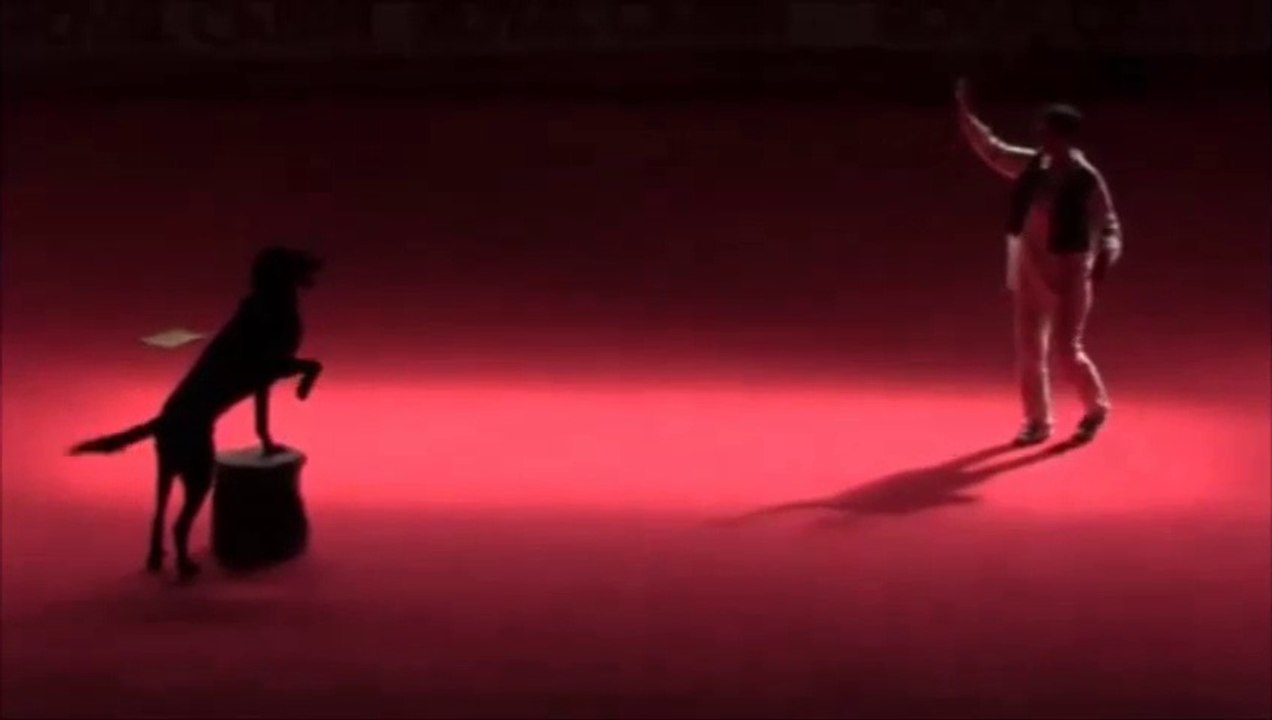 GPF Obérythmée 2015 : Monique et Gus