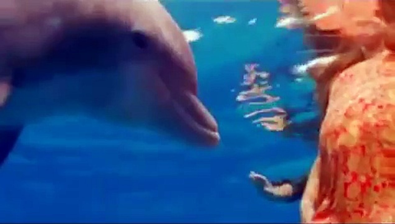 Sharks vs. Dolphins