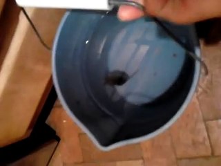 mouse dies trying to escape from bucket of water