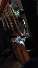 Qurat ul ain Balouch (QB) Singing in Pashto Song For Za Pakhtoon Yum