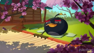 Angry Birds Toons   cute cartoon kids