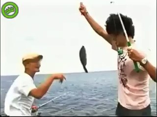Weird Exploding Sea Creature | AMAZING VIDEO