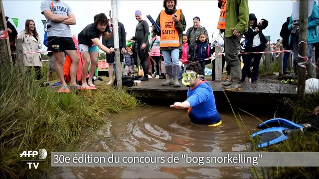 Concours mondial de nage en eau boueuse au Pays de Galles