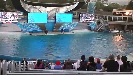 Shamu Show Incident Nov. 15 2006
