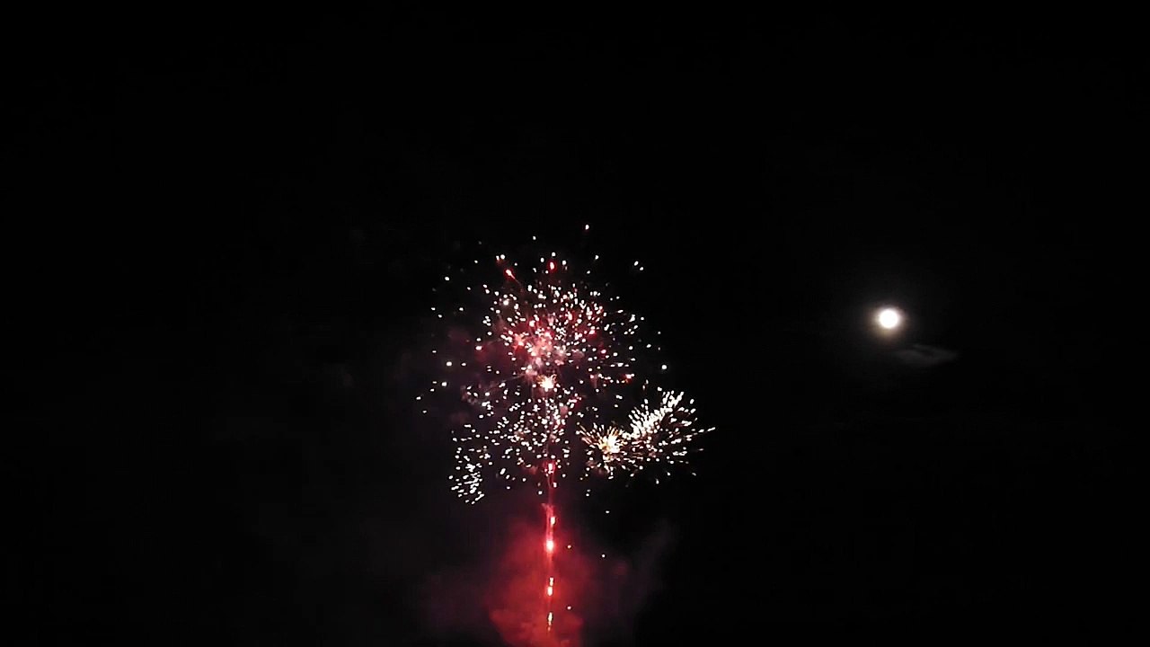 2015 - Etang du Puits