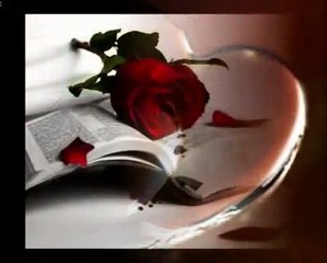 PENSIERO D'AMORE   MAL DEI PRIMITIVES