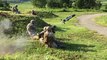 US Military Excersice - Javelin Missile Shooting - Sniper Soldiers Assault - AH-64 Apache Attack Helicopter - Bradley AFV Maneveur