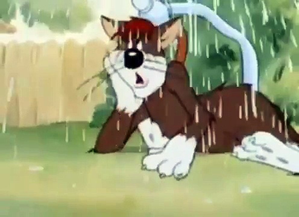 Tom And Jerry 2015 Part Sufferin Cat Kid Cartoon 2015