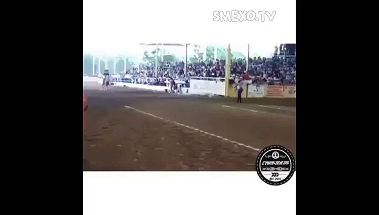 The horse broke ABS