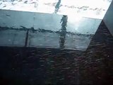 Aquamarine Video