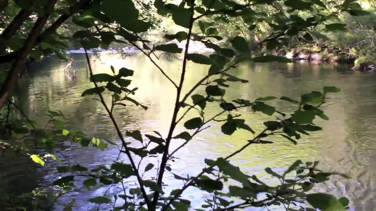 Pesca alla Trota (Trout fishing) nella Riserva Turistica di S.Maria del Taro