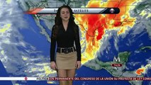 Arlett Fernandez Beautiful Mexican Weather Girl 08.01.2013