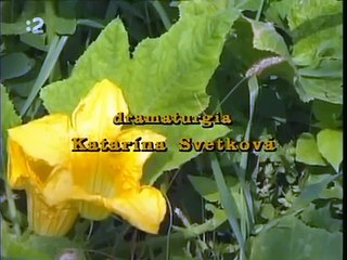 DNES VEČER HRÁM JA Tri poviedky s Jozefom Dóczym 1994