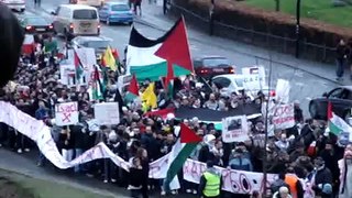 Palæstinademonstration i Århus