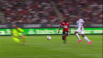 But Sylvain ARMAND (68ème) / Stade Rennais FC - Toulouse FC (3-1) - (SRFC - TFC) / 2015-16