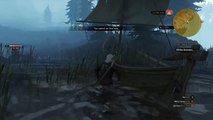 The Witcher 3: Wild Hunt Glitch