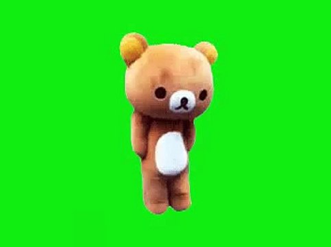Kumamon (Japanese Bear) dance for Green Screen