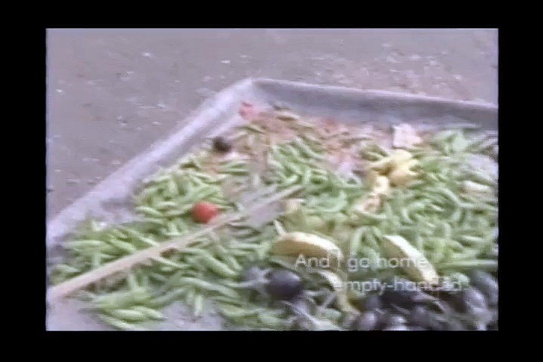Planeta Humano - Sobrevivendo na Selva de Pedra