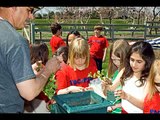 Nurturing Curiosity at Longwood Gardens