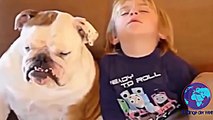 Hunde-Baby-Action die euch garantiert zum Lachen bringen werden