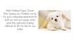 Maltese (Dog Breed) How To Potty Train A Maltese Puppy House Training -Housebreaking Maltese Puppies