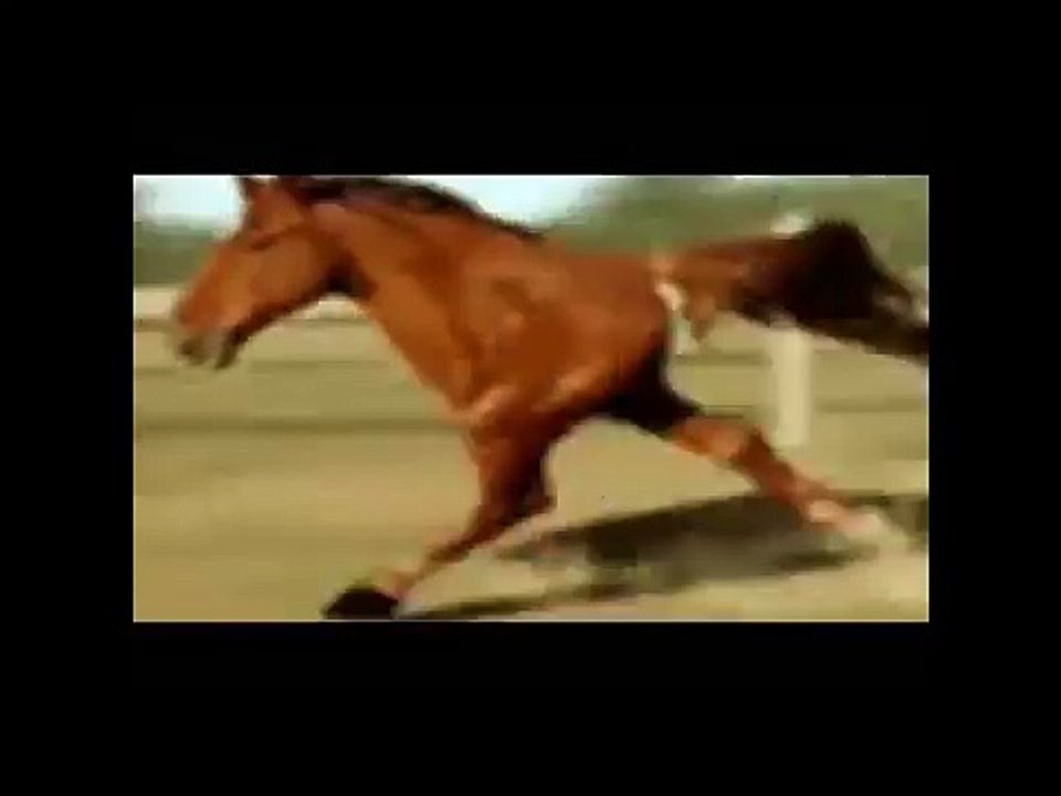 furia cavallo del west