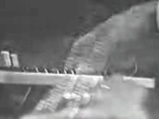 Jimmy Smith Trio-Mack The Knife-1962