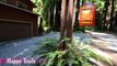 Happy Trails - Russian River Getaways - Russian River Vacation Rentals